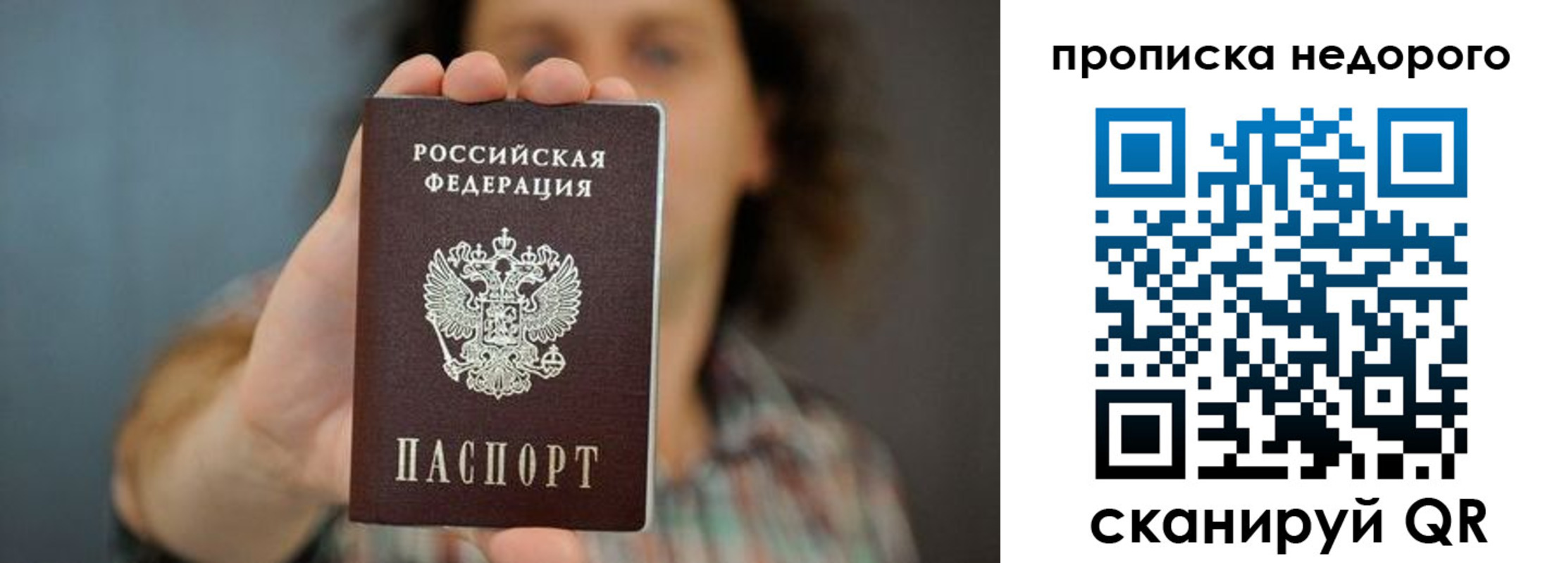 прописка гарантия в Алексеевке